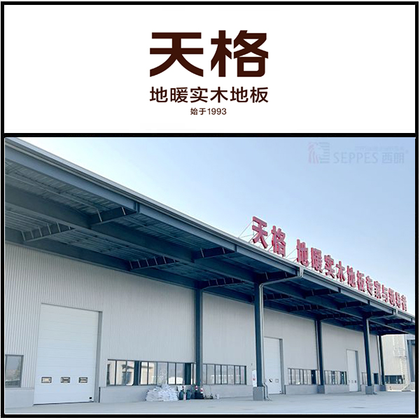 天格地板安裝西朗提升門